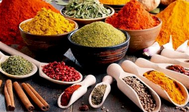 طريقة كاساديا المكمورة السريعة.. أسهل وصفة أردنية بأسرار المطبخ