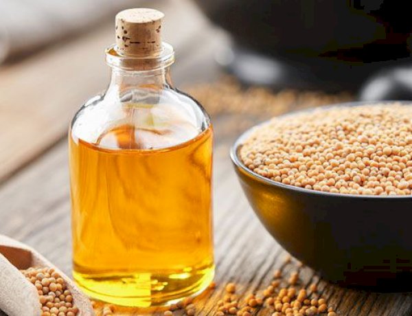 سر زيت الخردل في تحسين صحة الشعر.. فوائده وطريقة استخدامه