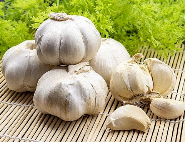دليل شامل: أفضل الممارسات لتخزين الثوم والحفاظ على جودته لموسم الشتاء
