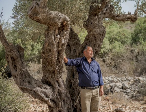 مستوطنات جديدة تغيّر خريطة الضفة الغربية وتفجّر موجة نزوح هي الأكبر منذ عقود