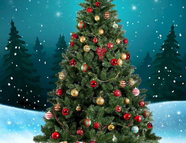 من الأسطورة إلى أيقونة الاحتفال.. حكاية شجرة الكريسماس عبر العصور