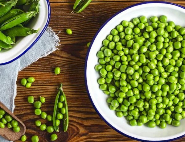 3 خطوات ذكية لتخزين البسلة لرمضان.. احتفظي بطعمها وفوائدها طوال العام