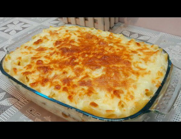 بشاميل صدور الدجاج بالجبن.. وصفة كريمية مثالية للعزومات العائلية