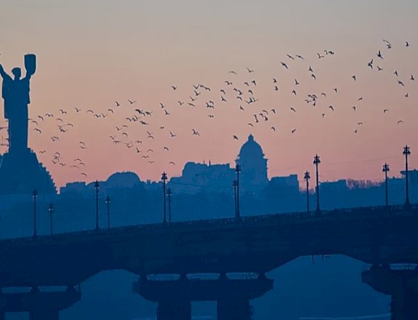 المفاوضات الأمريكية الروسية الأوكرانية تتجه لأبوظبي وسط أعنف هجوم عسكري