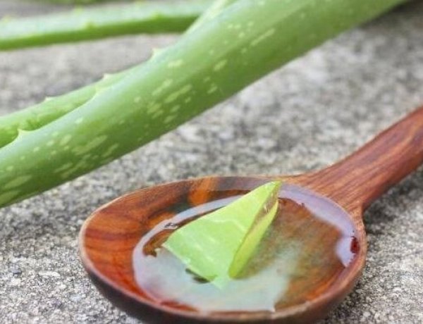 سرّ الشعر الطويل والصحي..جل الصبار يمنحك إطلالة ساحرة بخطوات بسيطة