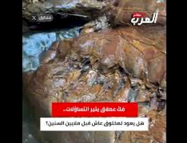 فكّ عملاق يثير التساؤلات.. هل يعود لمخلوق عاش قبل ملايين السنين؟
