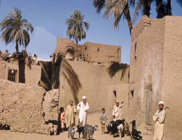 لماذا اختفت جلسات السمر؟.. كيف غيّرت التكنولوجيا شكل الحكاية في البيوت المصرية