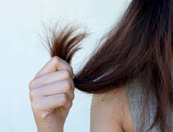 العناية بالشعر في الشتاء.. 4 خطوات أساسية لحمايته من الجفاف والتجعد