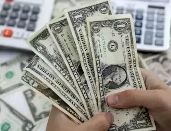 أسعار العملات اليوم الإثنين 19 أكتوبر 2026 تعرف على أحدث أسعار الصرف أمام الجنيه المصري