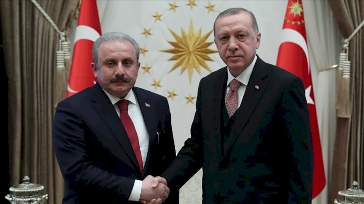 مصطفى شنطوب.. يد أردوغان لخنق الأتراك عبر القانون