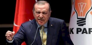 تقرير استخباراتي يكشف كيف أنقذ أردوغان خلية إرهابية من السجن