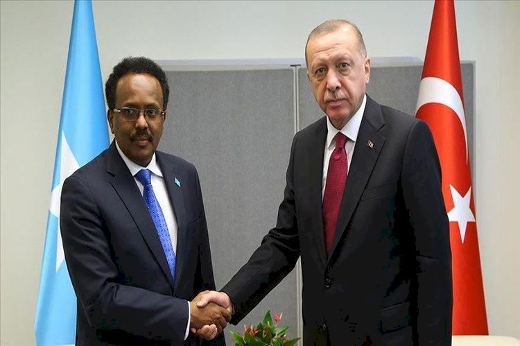 مكالمة سرية بين أردوغان وفرماجو لإرسال مرتزقة إلى الصومال