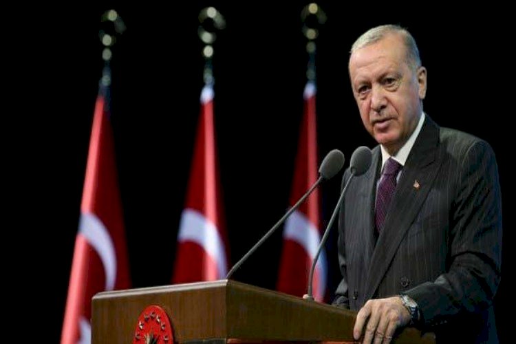 تركيا دولة عصابات في عهد أردوغان .. صعود قوي للمافيا