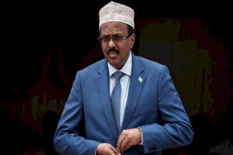 الانهيار أو الحرب الأهلية.. سياسي صومالي يكشف مستقبل نظام فرماجو
