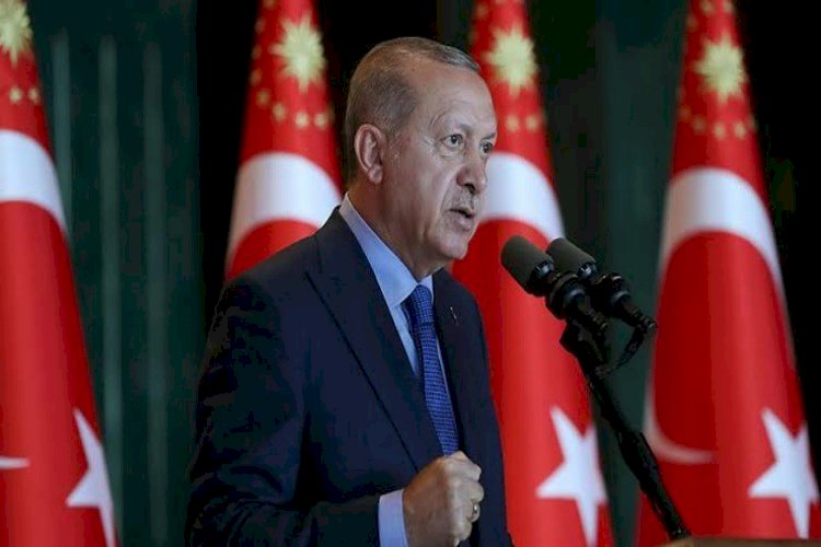 أردوغان ينتهك القوانين الدولية وينشر جواسيسه في السفارات