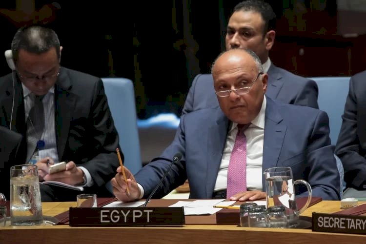 بعد جلسة سد النهضة.. كيف أصبح مجلس الأمن لا يناسب تطلعات المجتمع الدولي؟