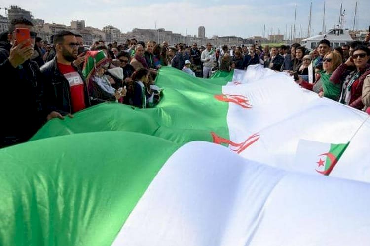 يحرقون الجزائر .. لماذا وصف تبون حركة رشاد الإخوانية بجراثيم الفتنة؟
