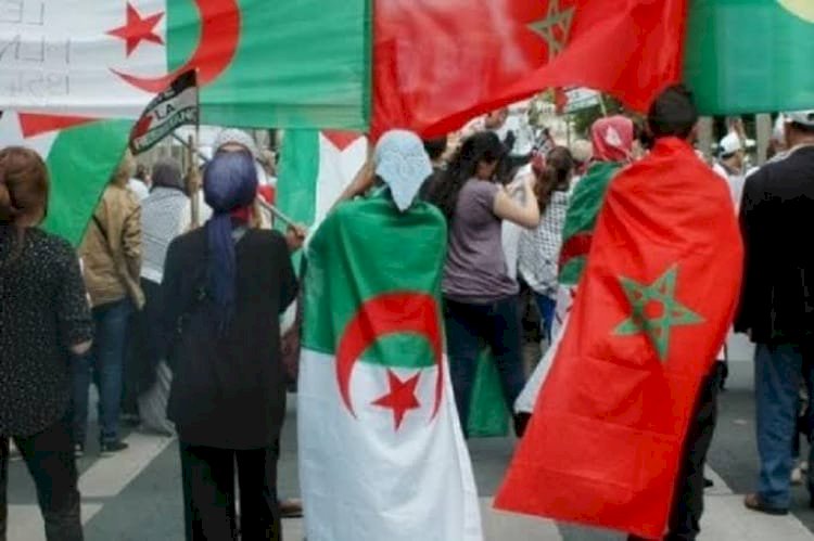دعوات عربية واسعة لحل الأزمة بين الجزائر والمغرب.. ما الحل؟