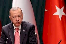 أردوغان يواصل حملة شرسة لمعاقبة المنظمات غير الحكومية في الأمم المتحدة
