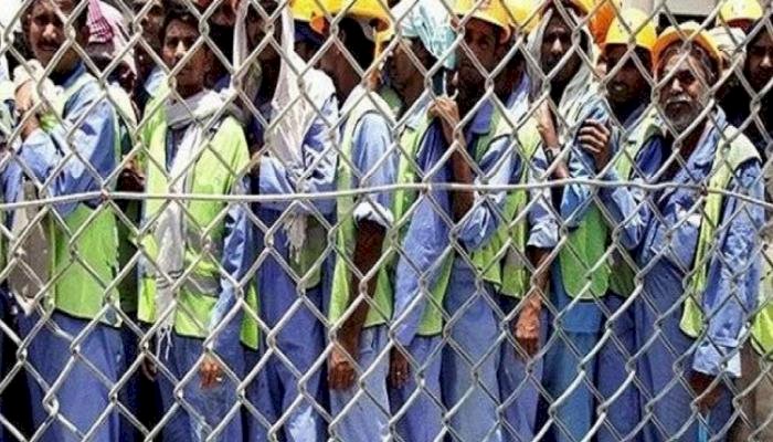 الاتحاد الألماني لـ الفيفا: أنقذوا أسر العمال المتوفين في قطر