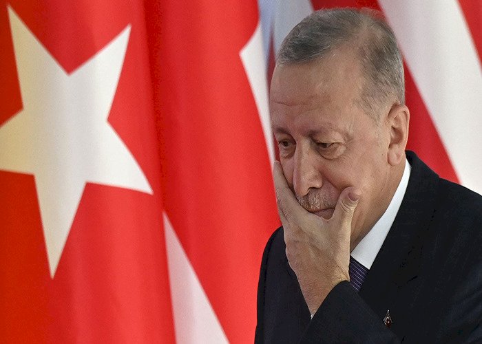 أطماع أردوغان.. ما سر الجهود التركية لإحلال السلام في أوكرانيا سريعًا؟