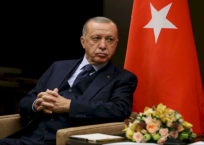غضب عربي من التدخلات التركية في الشؤون الداخلية لدول المنطقة