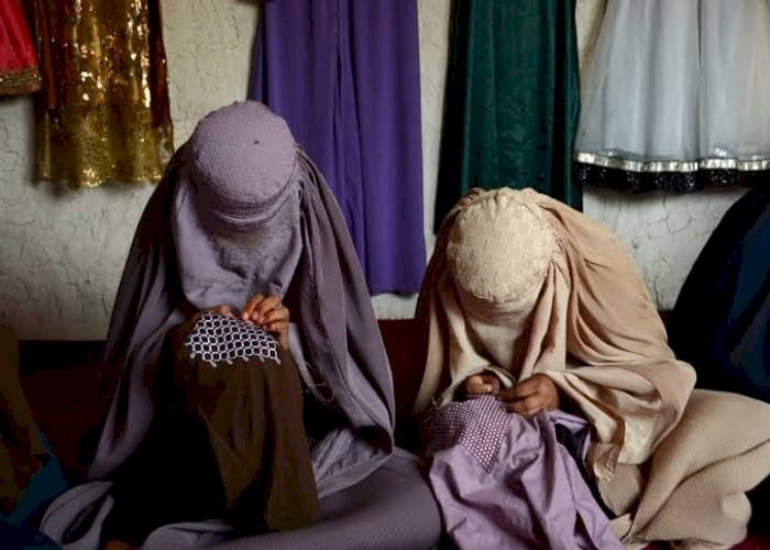 بلومبيرغ: طالبان تزعم رفض الأفغانيين تعليم بناتهم.. والشعب يكذبهم