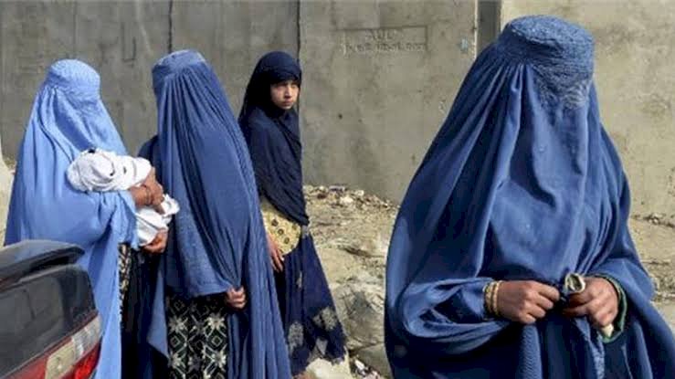 أفغانستان.. طالبان تزيد القيود ضد المرأة بمنعها من دخول الحدائق والمتنزهات