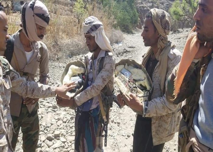 ماجد رفي زاده: يجب معاقبة إيران لتزويد الحوثيين بالسلاح الذي يقتل اليمنيين