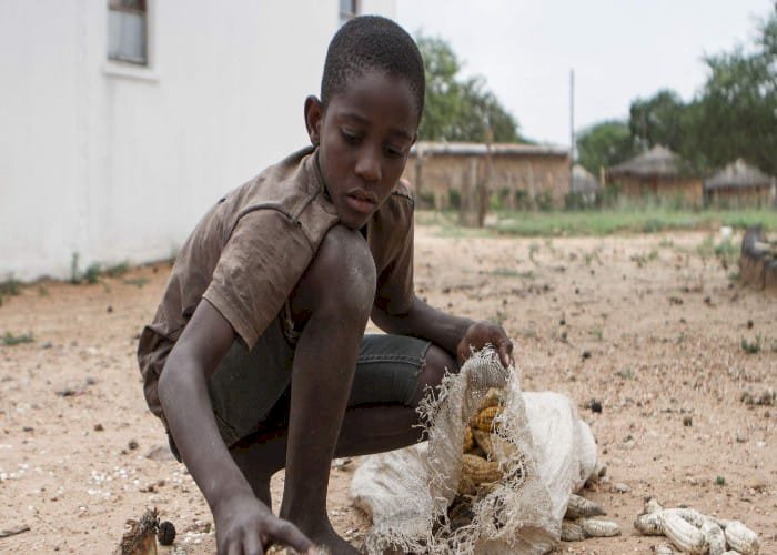 الغِذَاء العالميّ: سَرِقة 14 مليون دولار من المُنتَجات الغذائية في السودان