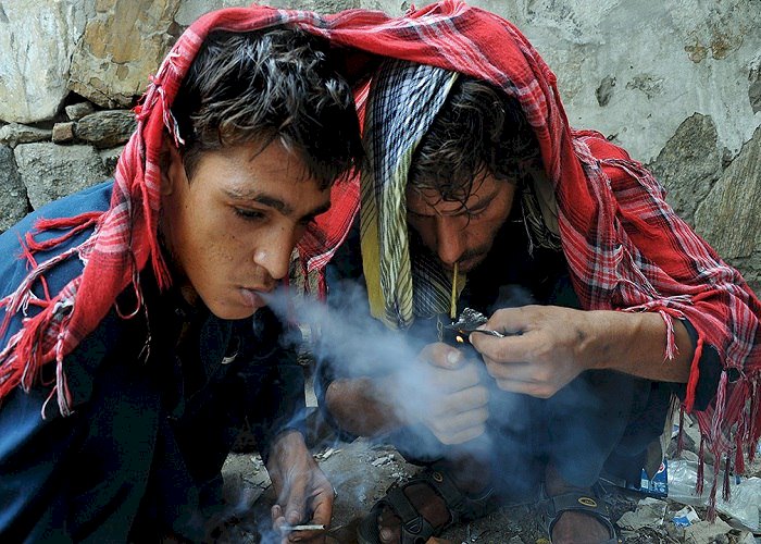 الغارديان: الحملات الغربية للقضاء على المخدرات في آسيا والشرق الأوسط فاشلة
