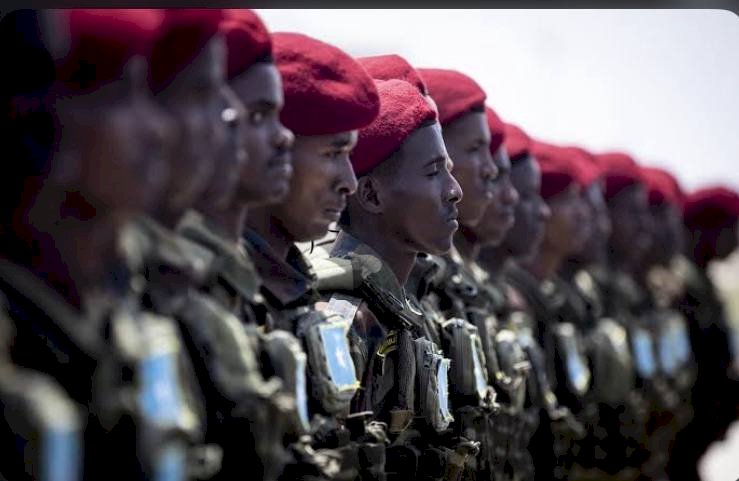 جهود كبرى لدولة الإمارات في الصومال.. دعم ومشروعات وحماية من الإرهاب
