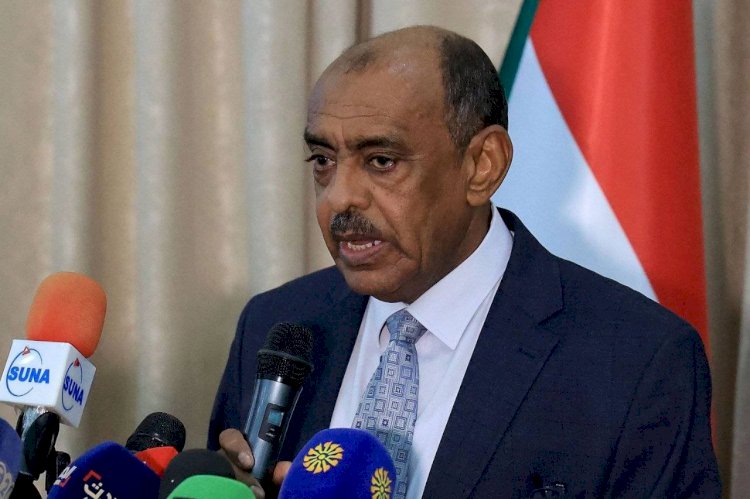 من هو وزير الخارجية السوداني المقال على الصادق؟