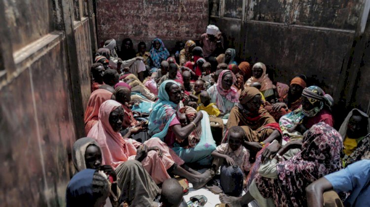 ازدواجية المعايير وتوقف الإغاثة.. ماذا يحدث لنازحي السودان في تشاد؟