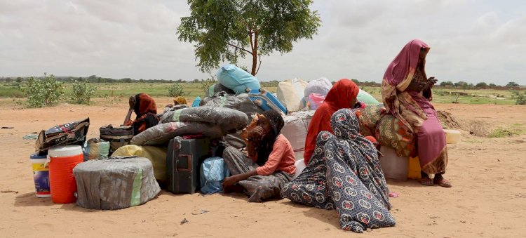 السودان يعاني.. موجة نزوح جديدة بعد معارك جبل موية