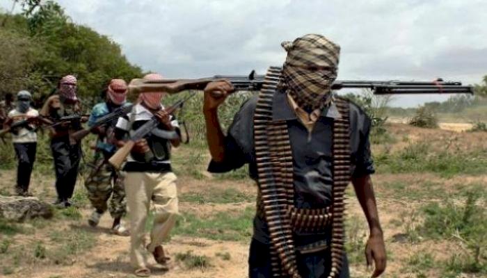محلل في شئون الجماعات الإرهابية: فرع داعش في الصومال يشكل تهديدًا كبيرًا