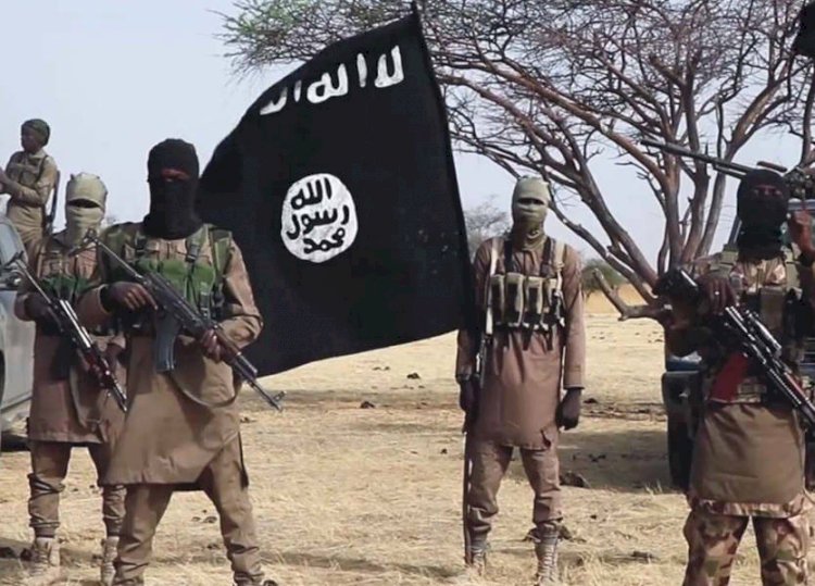 محلل: داعش يعيد رسم نفوذه في إفريقيا مستغلاً الفوضى.. واللامركزية أصبحت سلاحه الجديد