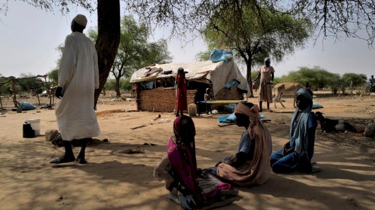المجاعة تزحف وجبهات القتال تشتعل.. السودان بين الجفاف والمعارك