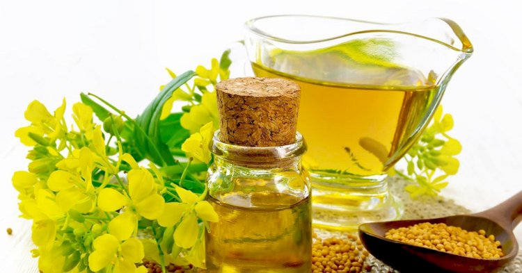 فوائد زيت الخردل للمفاصل والعظام