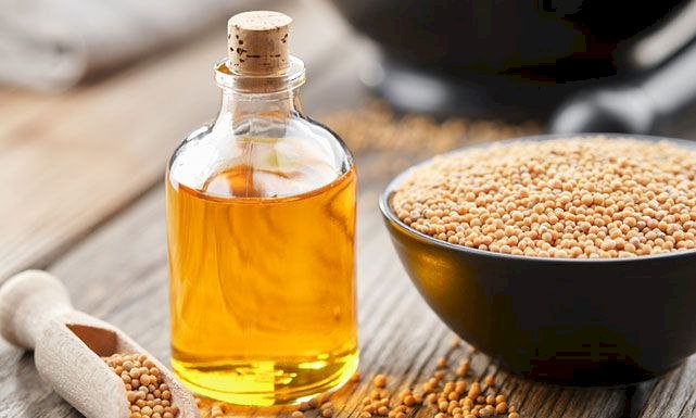 سر زيت الخردل في تحسين صحة الشعر.. فوائده وطريقة استخدامه