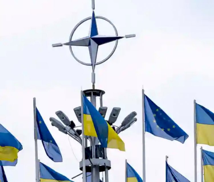 ضمانات بلا عضوية: كيف تُفاوض أوكرانيا على أمنها خارج مظضلة الناتو