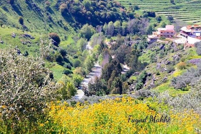 بعد استهداف إسرائيل لاثنين منها.. معلومات عن أهم الجسور على نهر الليطاني في لبنان