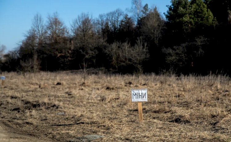 ألغام أمريكية في جنوب إيران.. سلاح نادر يعود إلى ساحات الحرب بعد أكثر من عقدين