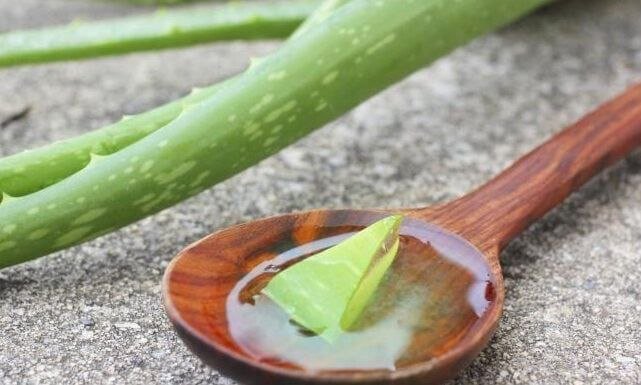 سرّ الشعر الطويل والصحي..جل الصبار يمنحك إطلالة ساحرة بخطوات بسيطة