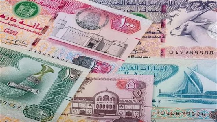 أسعار العملات الأجنبية أمام الجنيه المصري اليوم الإثنين 24 أغسطس 2026