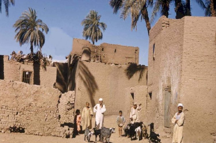 لماذا اختفت جلسات السمر؟.. كيف غيّرت التكنولوجيا شكل الحكاية في البيوت المصرية